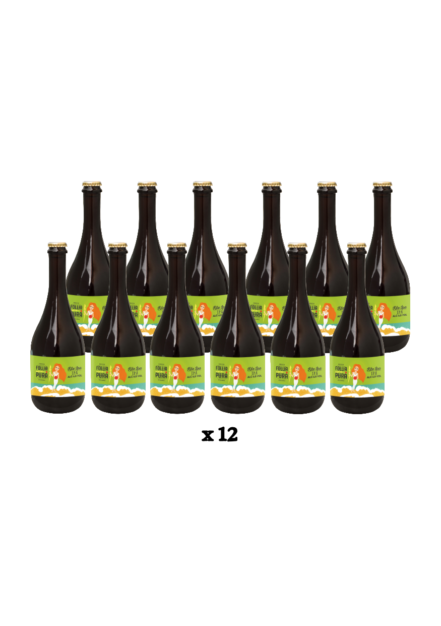 KITE IPA BIER