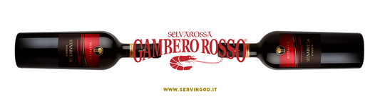 Selvarossa Riserva: caratteristiche, abbinamenti e storia di uno dei vini simbolo del Salento