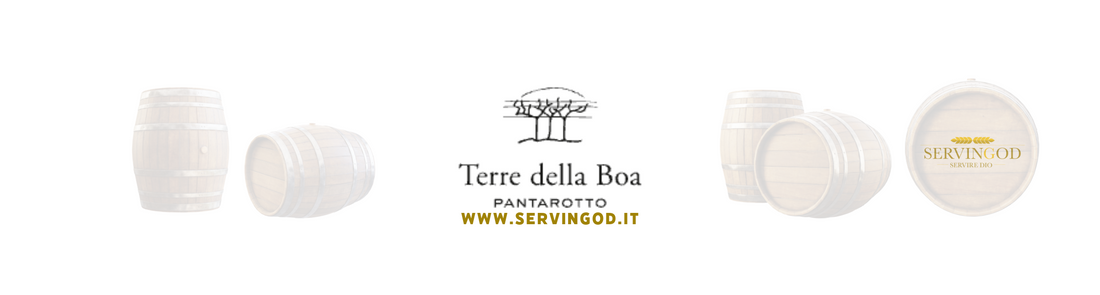 Terre della Boa: i vini del Veneto che trovi su Servingod.it
