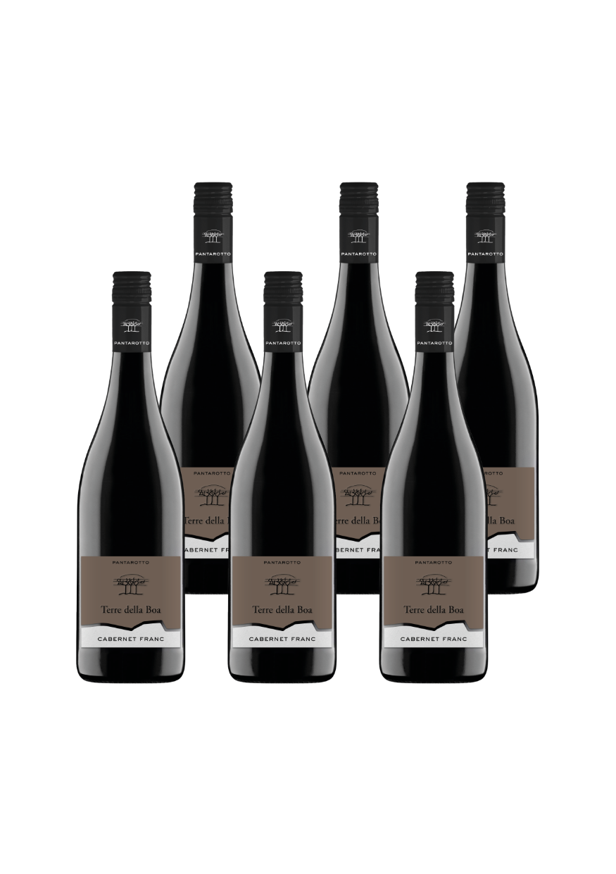 Cabernet Franc Veneto IGT