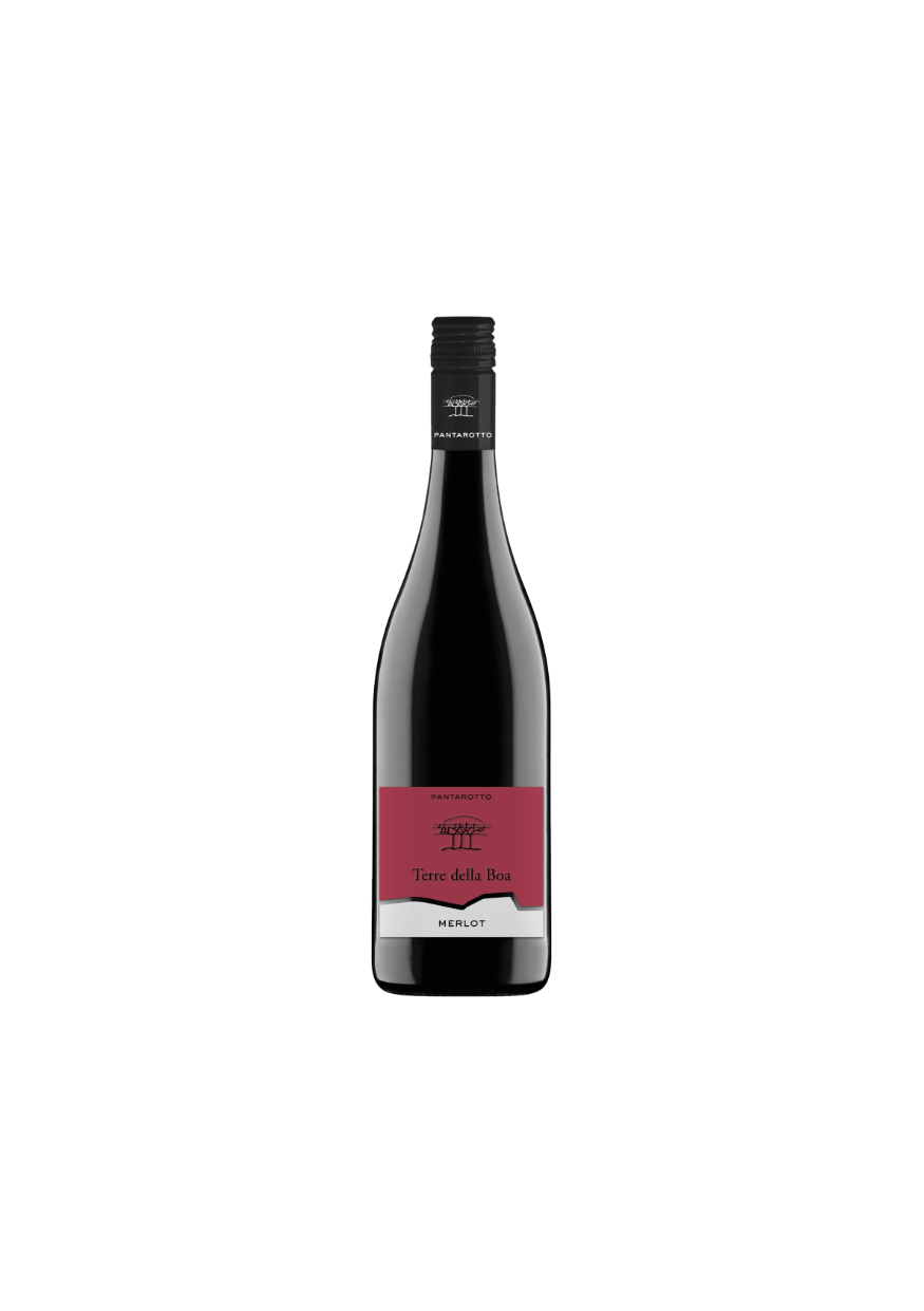 Merlot Veneto IGT