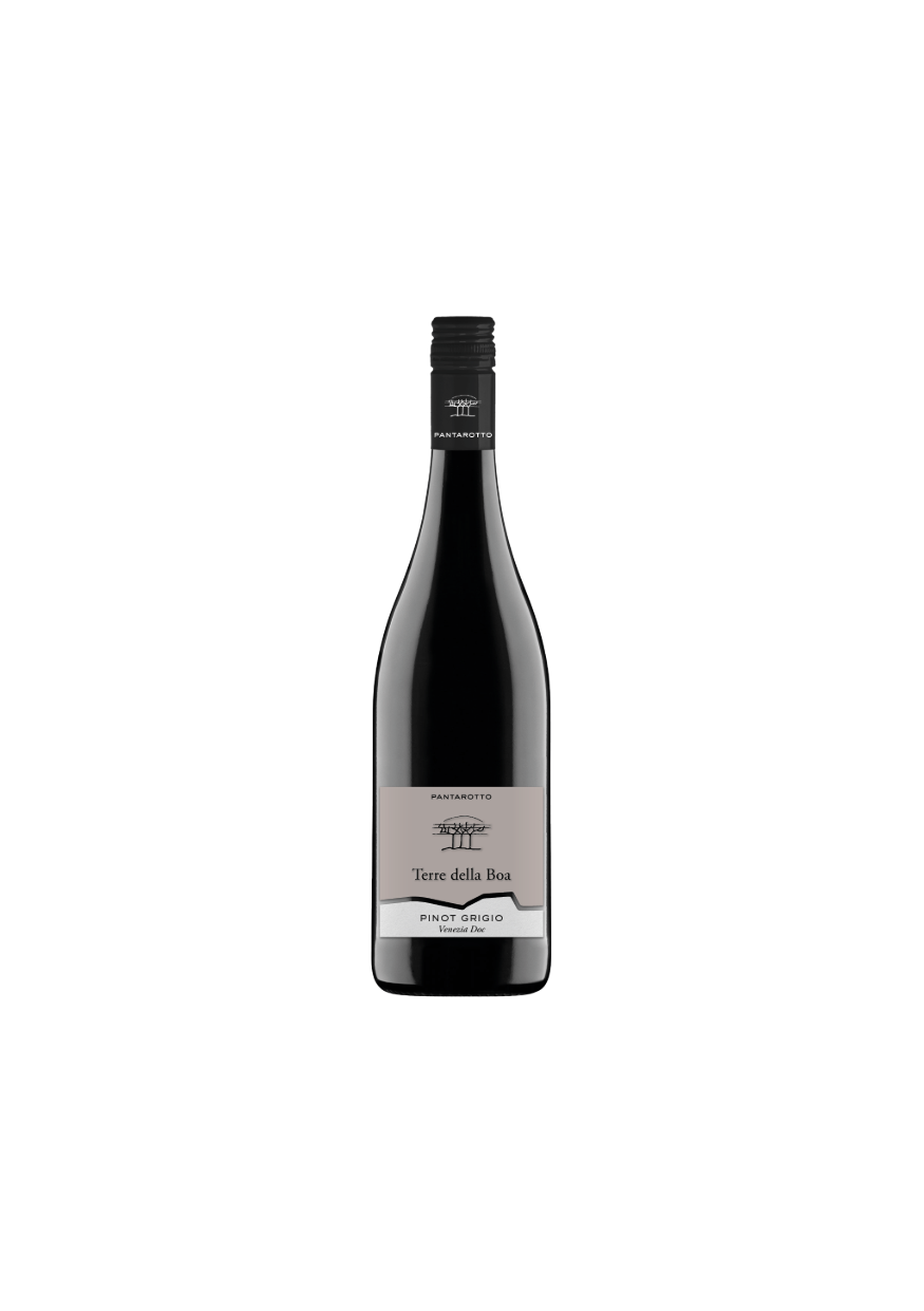 Pinot Grigio Veneto IGT